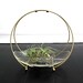 Vintage Mid Century Serving Dish - Vintage Serving Dish - Atomic Serving Dish