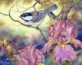 Black-capped Chickadee and Pink Iris 8.5 x 11 Giclee Fine Art Bird Print Signed A E Ruffing, Vertical