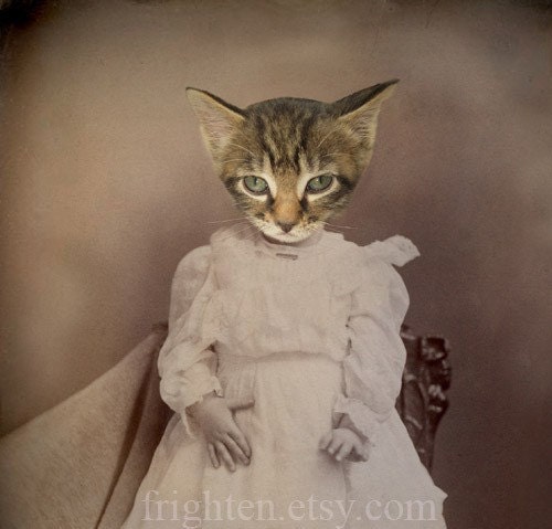 Cat Art Print, Mixed Media Collage Print, Kitty, 5x7 Altered Antique Portrait, frighten