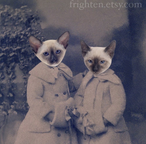 Siamese Cat Art, Mixed Media Collage Print, Sia and Mia, Altered Antique Portrait of Two Sisters, Art for Cat Lovers, frighten