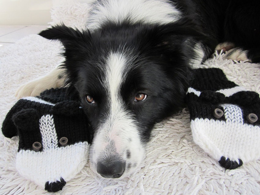 Hand knit Border Collie mittens gloves in black and white with polymer clay buttons