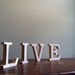 LIVE Wooden Letters with Upcycled Antique Dictionary
