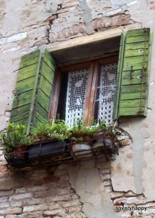 Photograph, Art, Green Shutters and Herbs