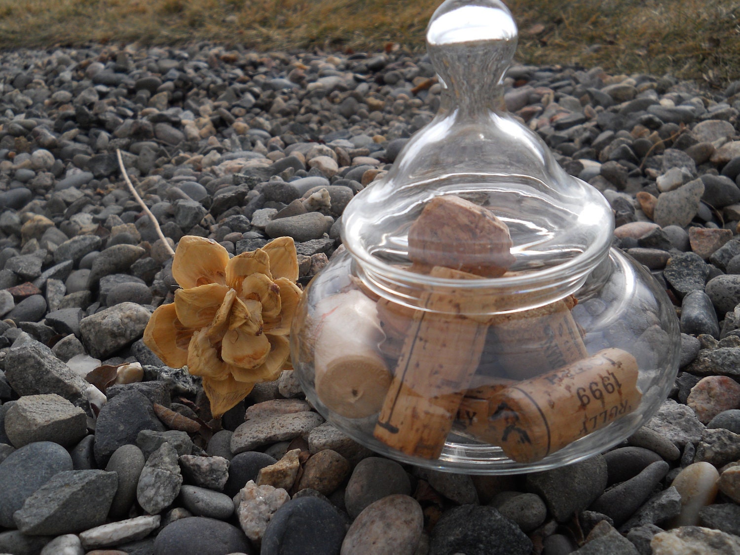 Vintage Apothecary Jar