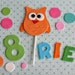 Owl, Polka Dot, and Birthday Kid's Name and Age Fondant Decorations for a Special Birthday Cake