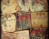 Victorian Mayhem - Ghastly Sticker Set
