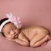 Baby Headbands..Newborn Headband.Baby Girl Headband..Pale Pink Tulle Poof Flower Headband.Baby Headband..Baby Bow Headbands..Many Colors