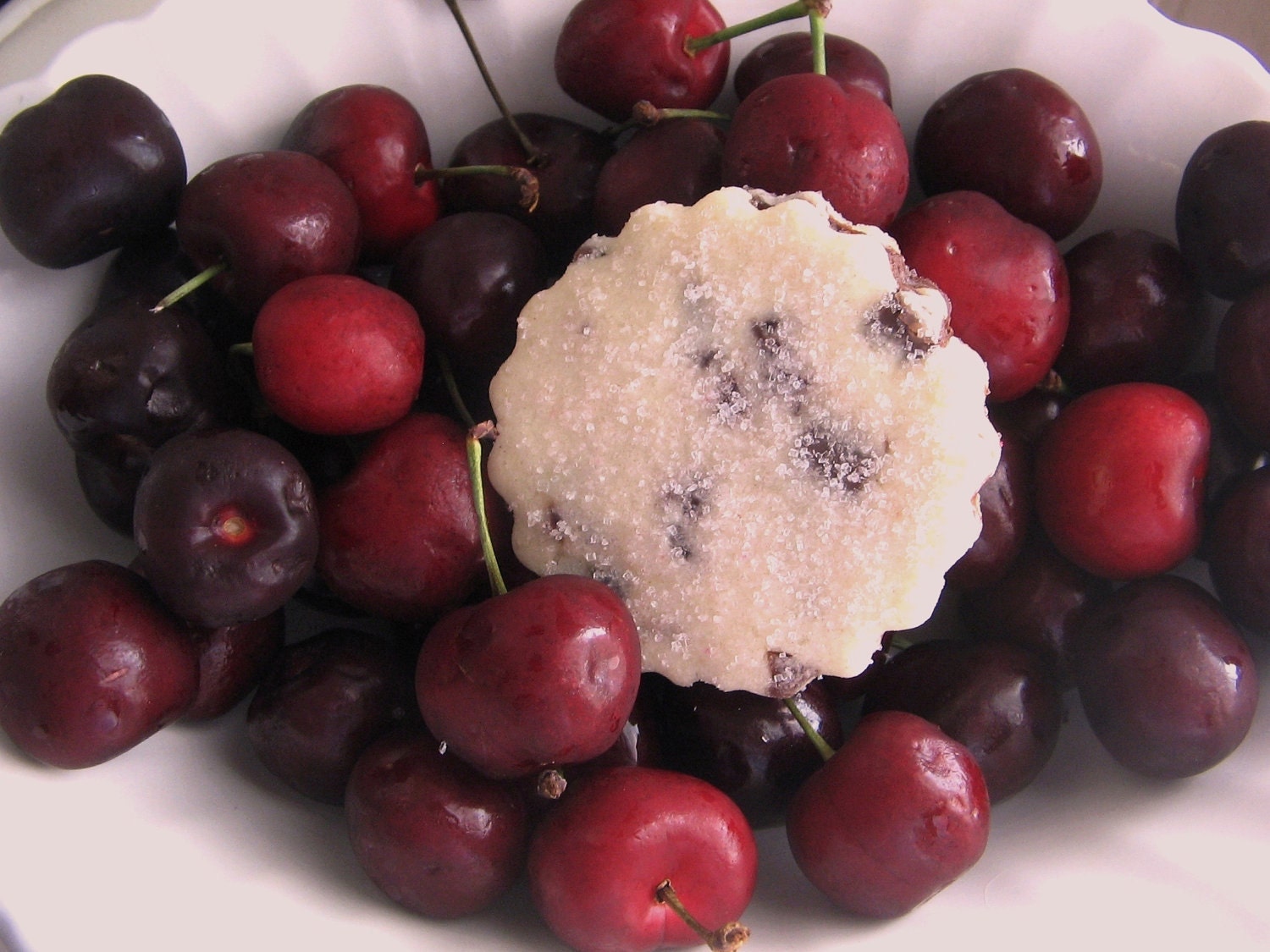 Cherry Chocolate Shortbread Cookies 1 Dozen Father's Day Treats