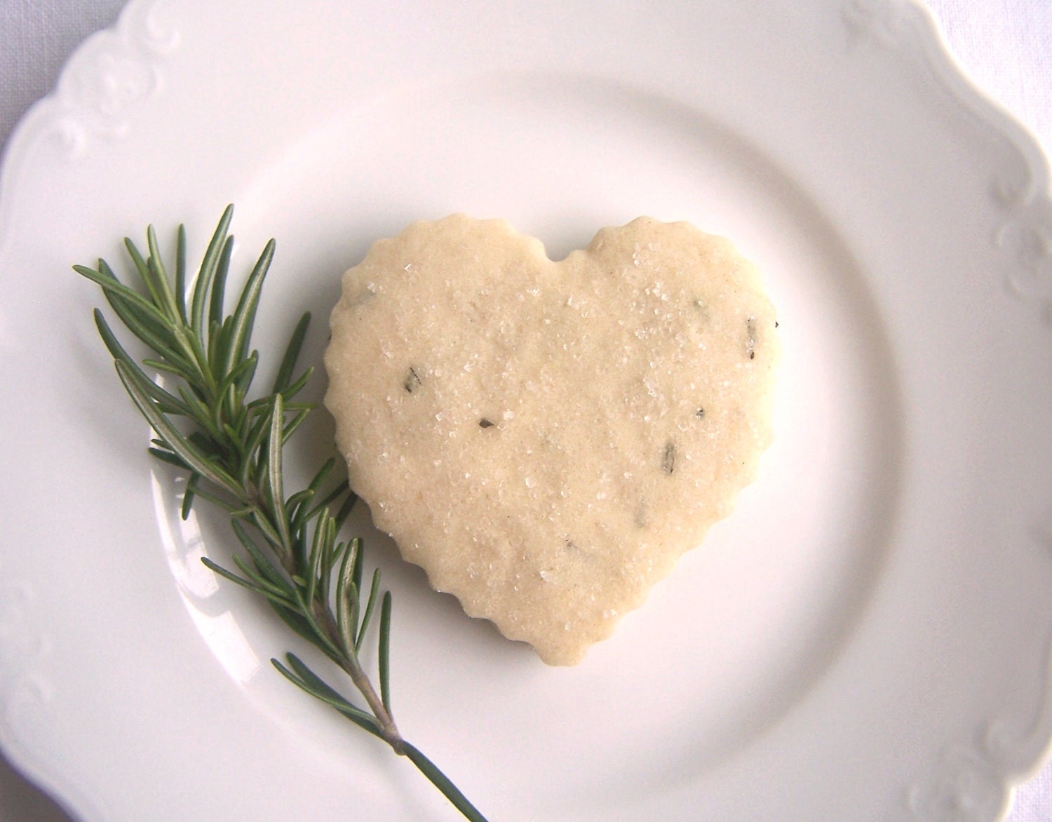 Shortbread Cookies Rosemary Pine Nut 1 Dozen Herb Cookies