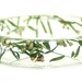 Green Jewelry-Green Bracelet- Flower Bracelet- Flower Jewelry- Resin Jewelry- Jewelry for Summer- Green Foliage- Green Jewelry