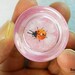 Orange Ladybug - Micro Amigurumi Crochet Miniature Ladybug - Made To Order