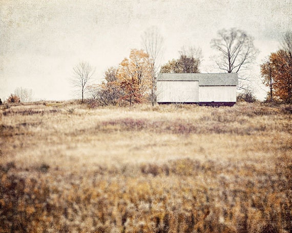 Barn Landscape Pictures Fall Autumn Country Farm Photography White Barn Beige Gold Brown Cream Tan Field - Shabby Chic Decorating.