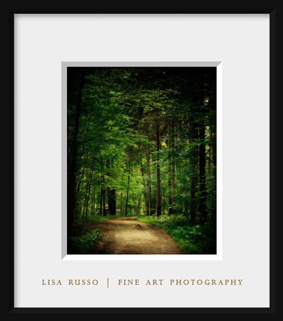 Emerald Green Woodland Decor, Forest, Oz, Green Woods, Trees Deep Green, Forest Art, Nature Photography.