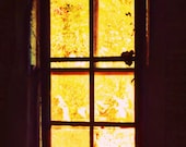 Antique Window Photography Gifts under 25,sun,barn,gold,yellow,vintage,dramatic lighting
