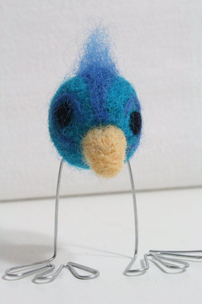 blue and turquoise big-footed bird