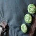 Tally's Bestiary critters - set of 3 pinback buttons