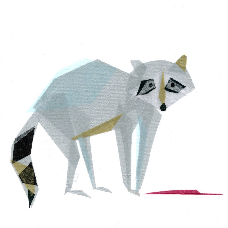 wally raccoon - print