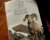 Count Ram Dreamtime Travel Log