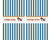 Printable Little Airplane Food/Beverage Tents