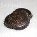 Bottle Cap Magnets Antique Gold (set of three)