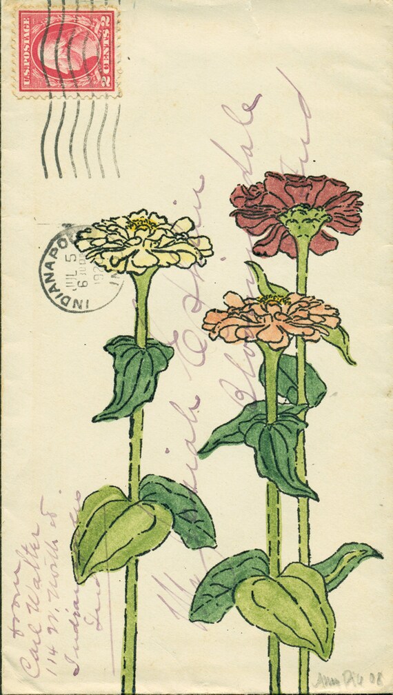 Zinnias