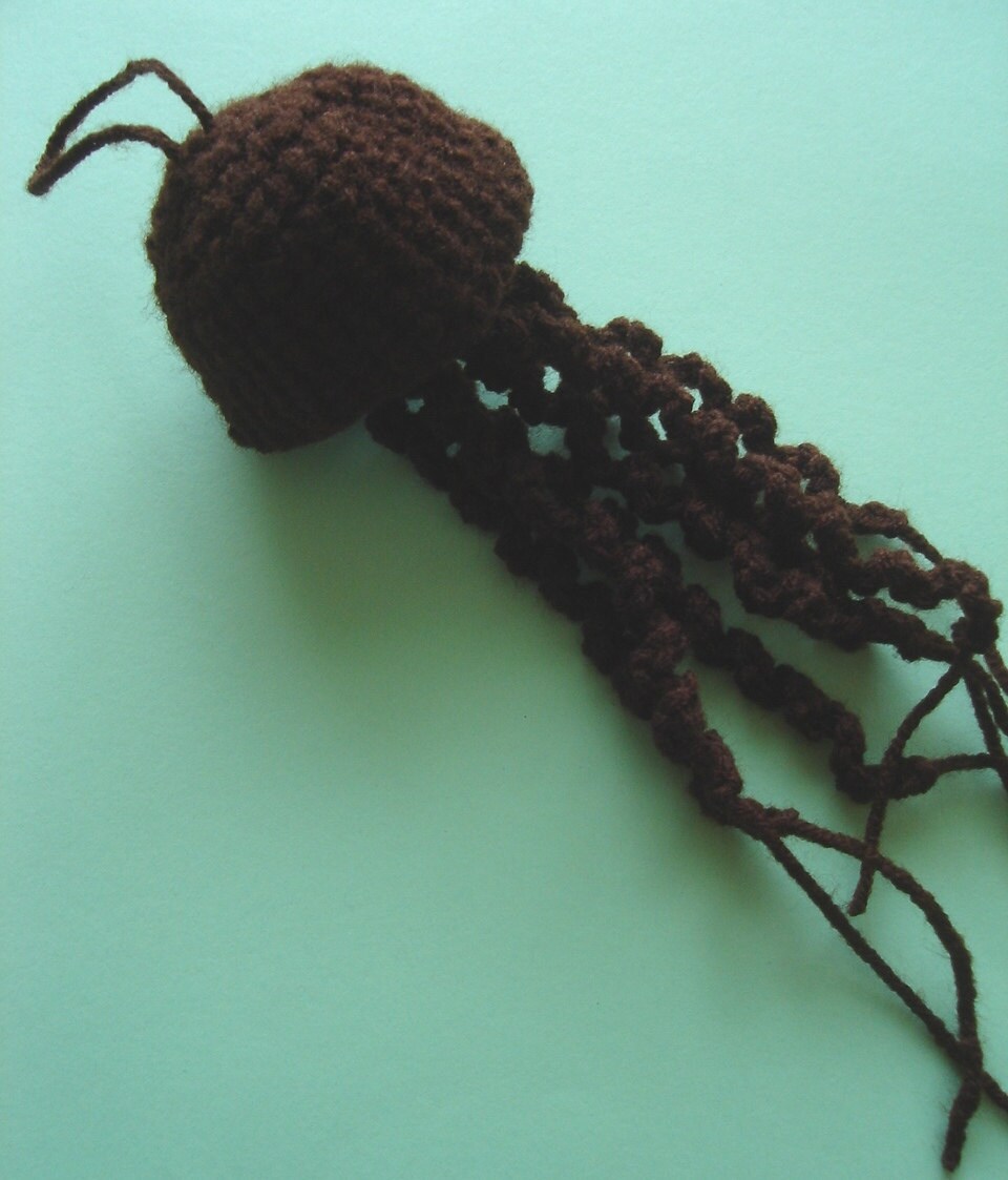 Chocolate Jellyfish