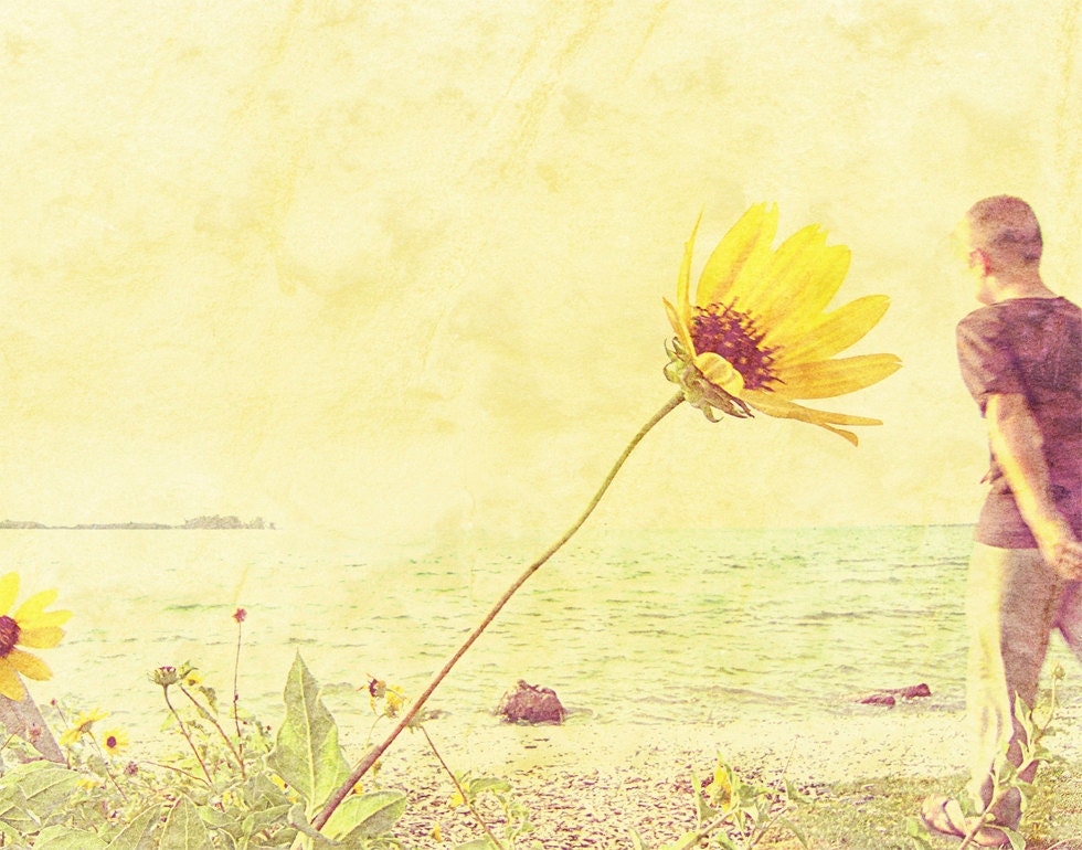 Time Away Yellow Boy Offshore Daisy Sunflower Textured Vintage Style Photography Art 11x14