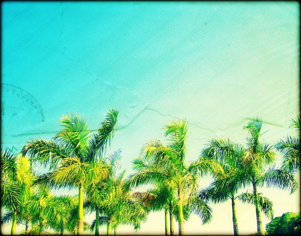 Florida Dreaming Photography ART 11x14 Print
