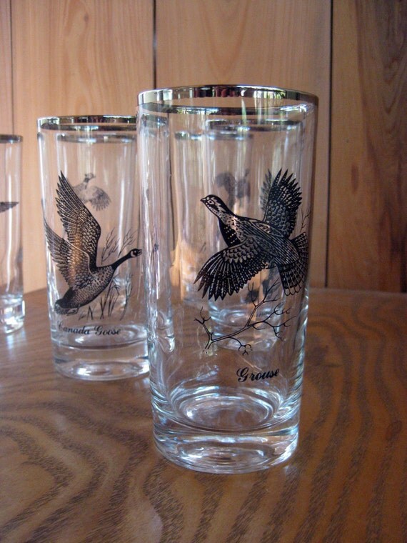 Vintage Bird Drinking Glasses set of 8 by ThimbleIslandVintage