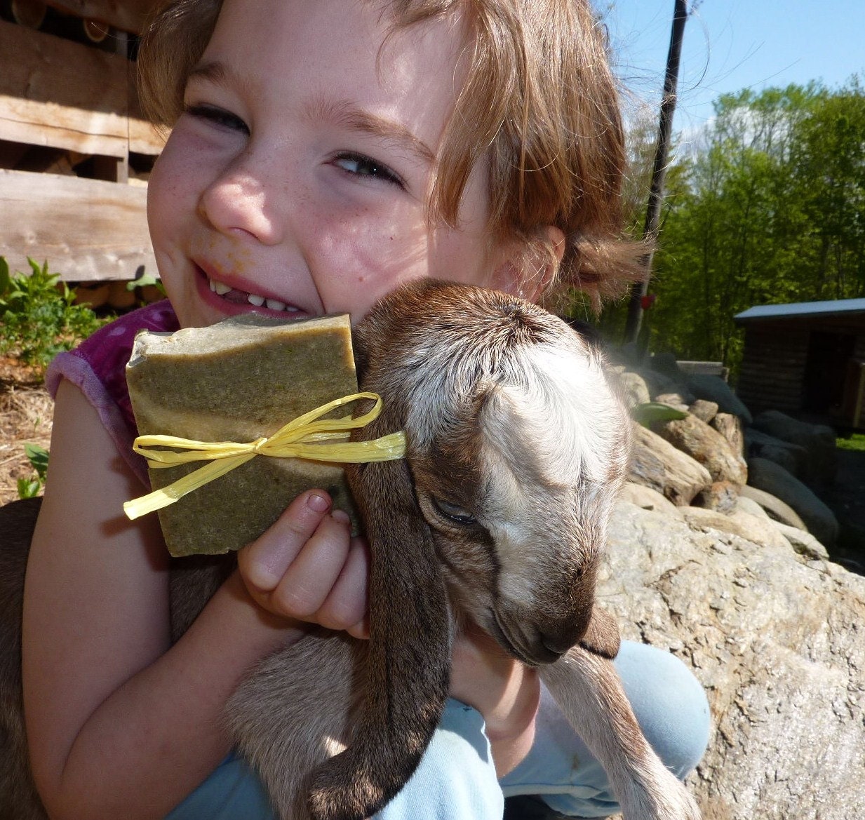 Signs of Spring Goat Milk Colostrum Soap--limited batch