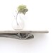Driftwood Shelf No. 59