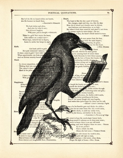 Raven Crow reading a book Animal Natural History - Vintage Victorian Book Page Art Print Steampunk