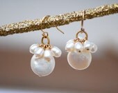 White Coin Pearl & Fresh Water Pearls Gold Earrings