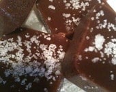 Chocolate or Vanilla Fleur De Sel Caramels
