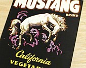 Mustang Bronco Horse Vegetable Crate Label 1950s