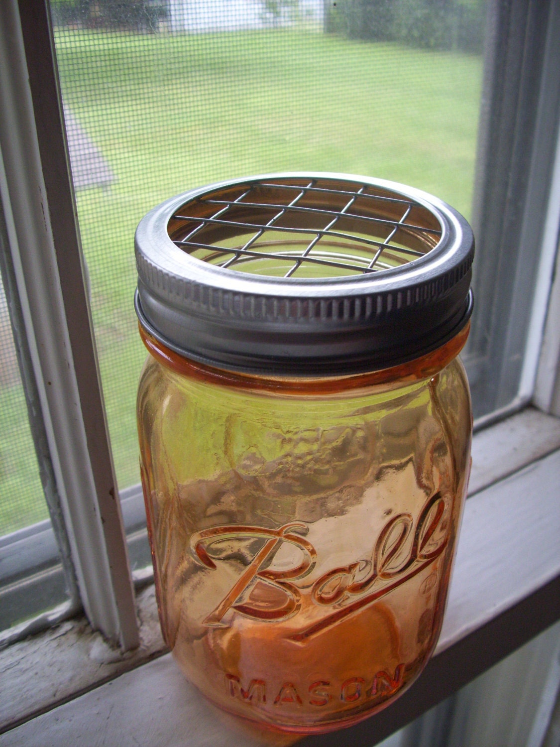 Mason Jar lids Frog Flower Lid Regular Mouth by DownInTheBoondocks