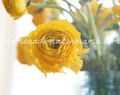 Ranuculus (facing left)
