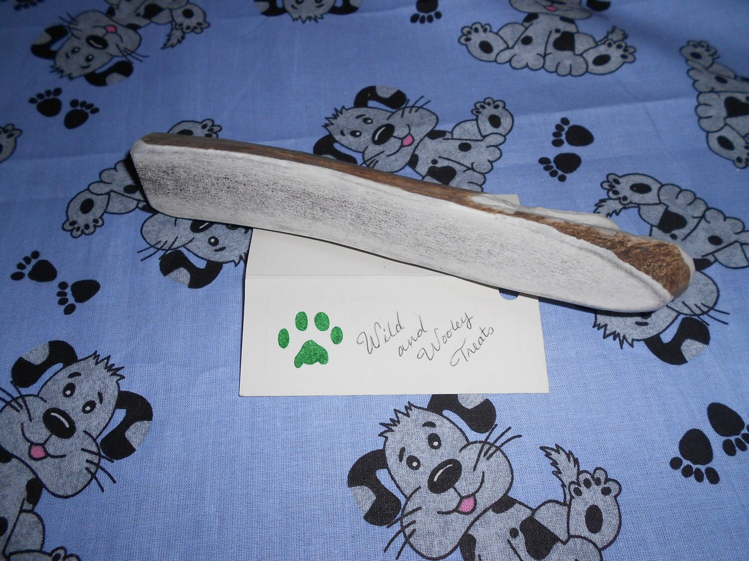 Large Elk Antler Dog Chew Split (Lot 799)