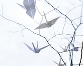Origami Crane Sky Branches Tree Fine Art Photo Photograph 8x10 Oragami