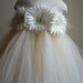 Flower girl dress Ivory, Champagne tutu dress, daisies, baby tutu dress, toddler tutu dress, newborn-24, 2t,2t,4t,5t, birthday