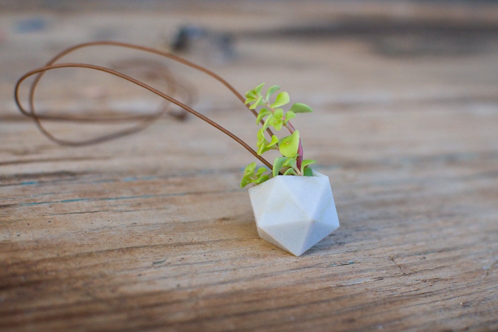A Wearable Planter No. 5, in White