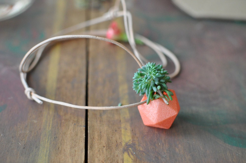 Miniature Icosahedron in Coral: A Wearable Planter