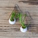 A Pair of Earrings for Jennifer