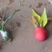 Ruby Planter Lapel Pin: A Wearable Planter