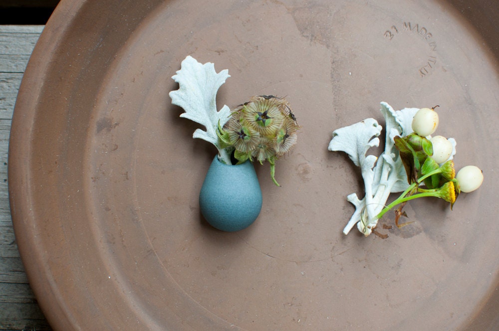 Aqua Lapel Pin: A Wearable Planter