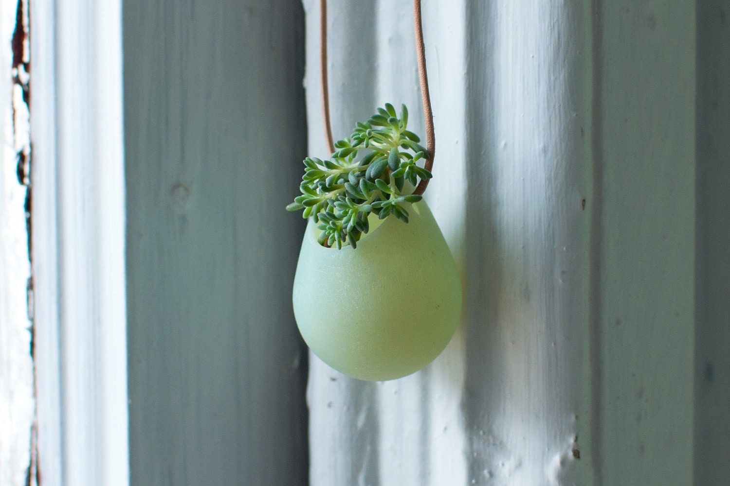 Wearable Planter No. 1, in Mint