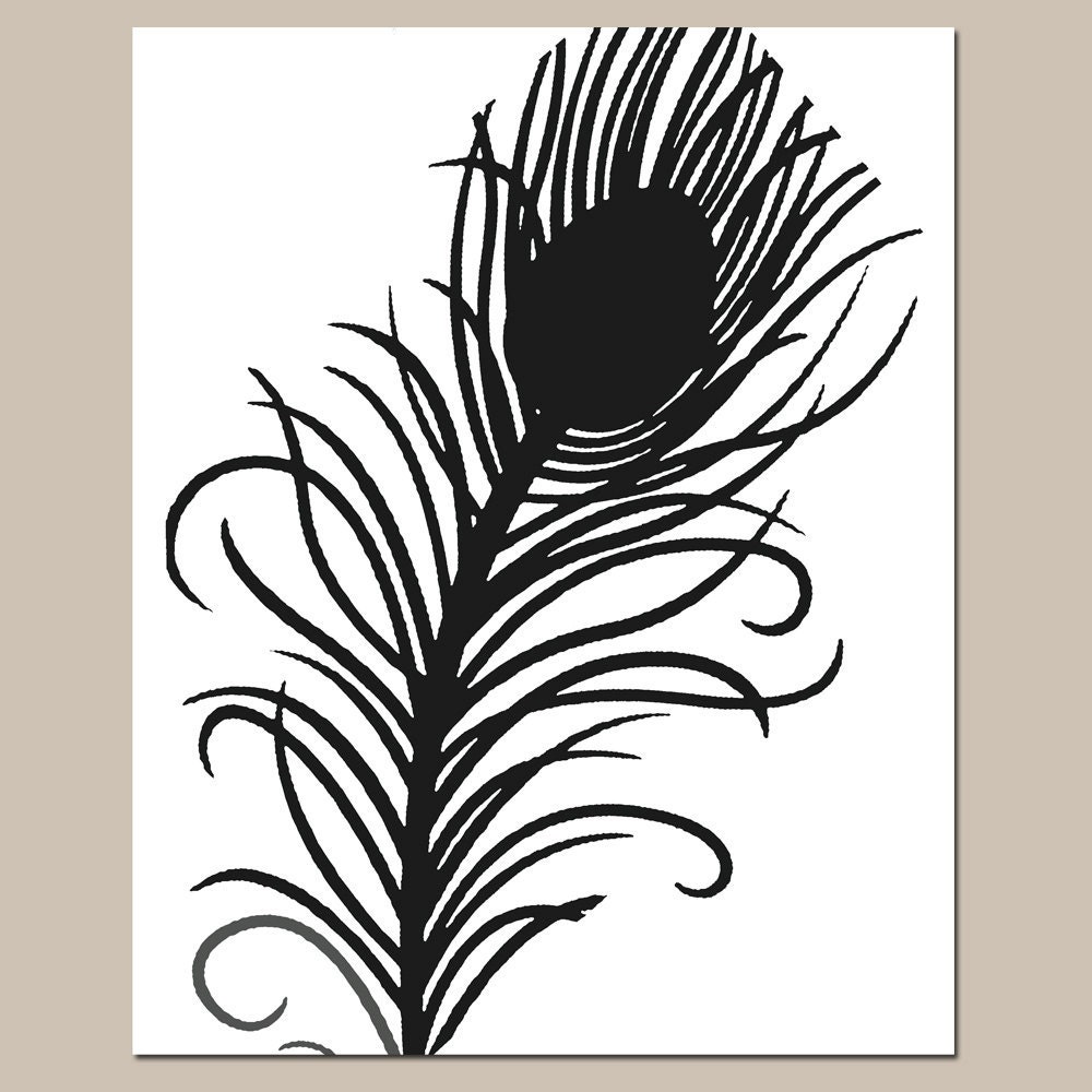 SALE - Modern Peacock Feather - 8 x 10 Print - Black and White