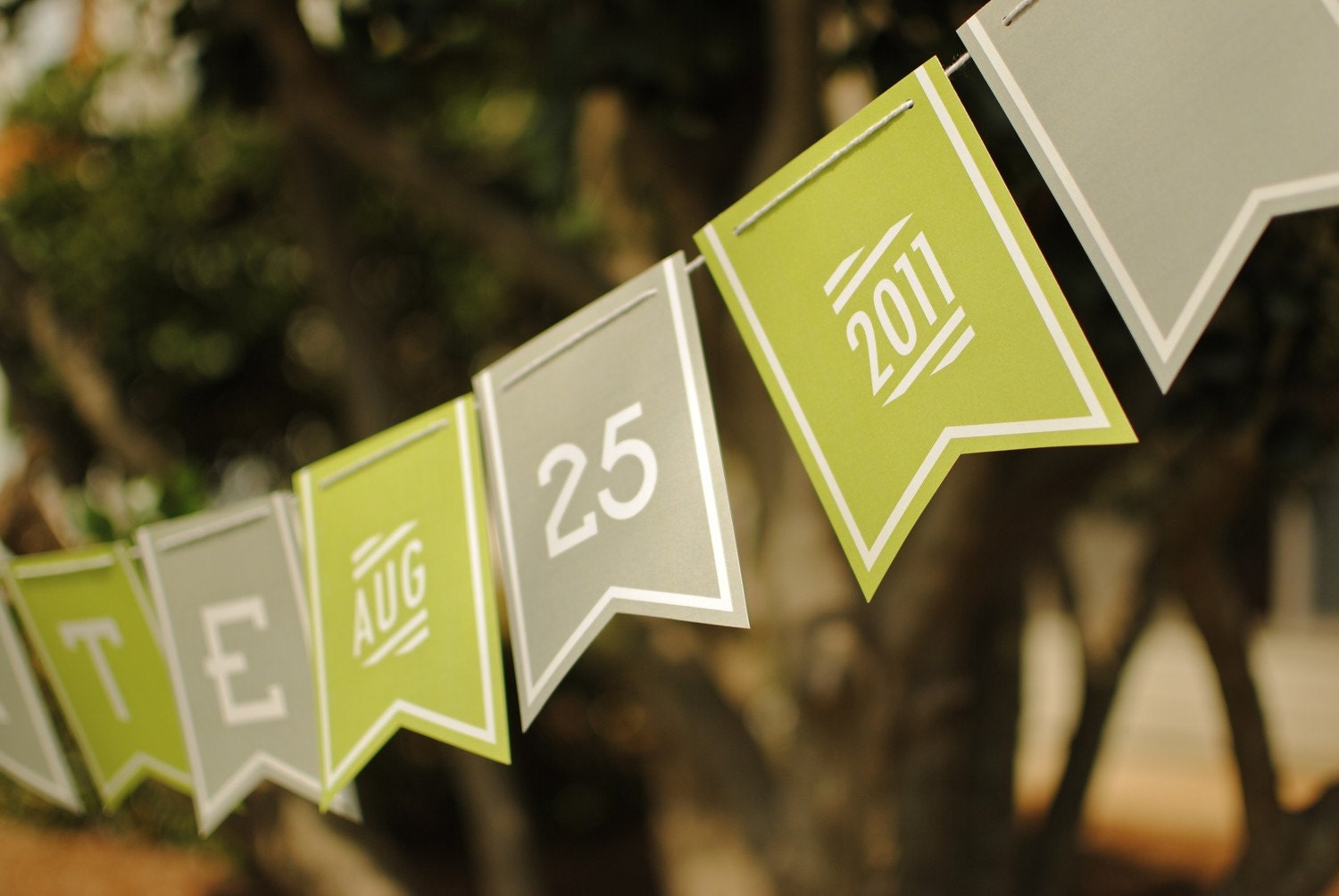 Save the Date Engagement Photo Banner