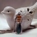 Tiny Keepsake Feather Magical Blue Green Peacock Vial Bottle Pendant Necklace
