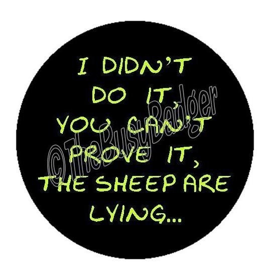 Button Badge or Magnet - BRA07 - I Didn't do it, You can't proove it, The sheep are lying
